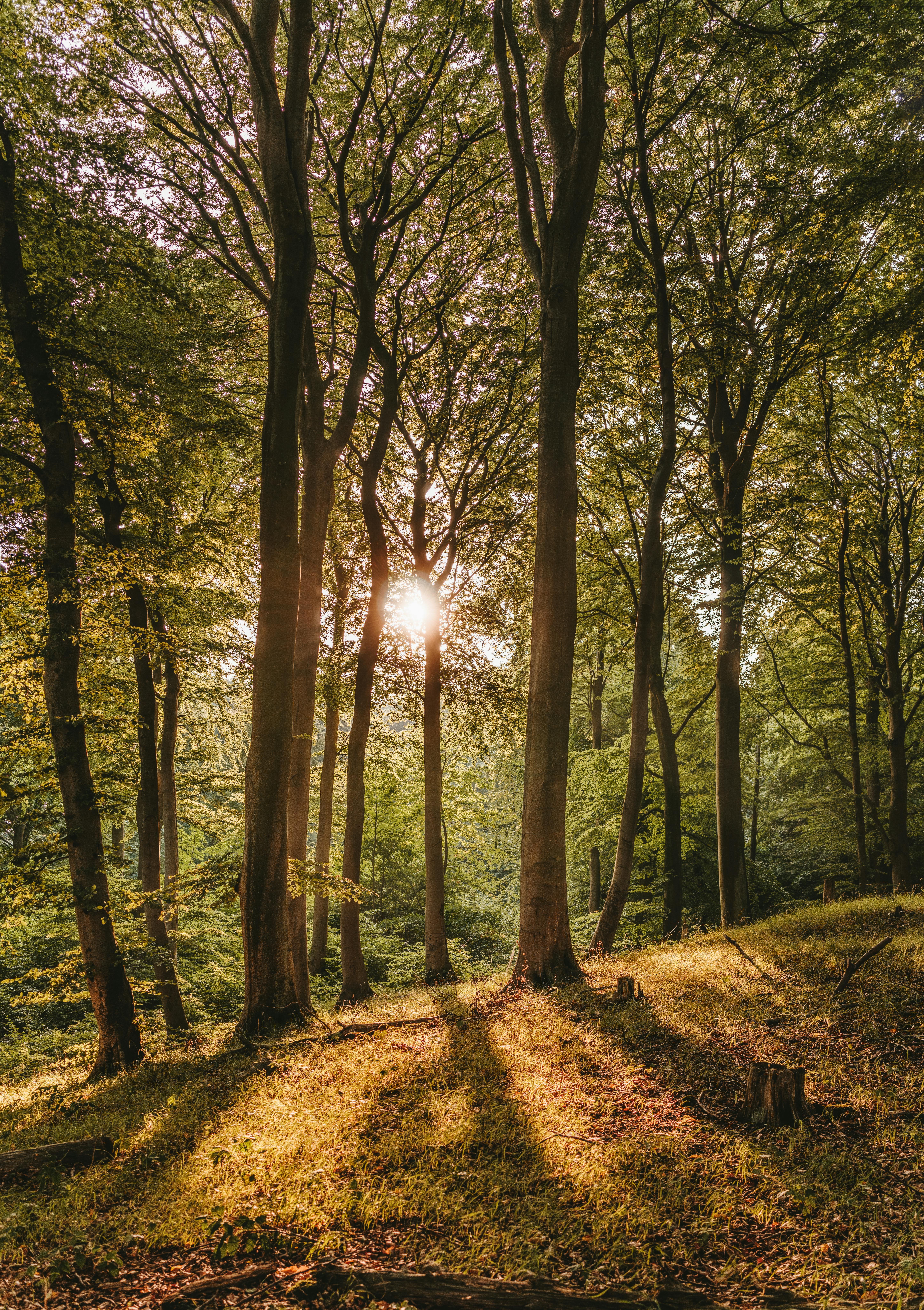 Wellnessurlaub in Deutschland: Entspannung im Bayerischen Wald