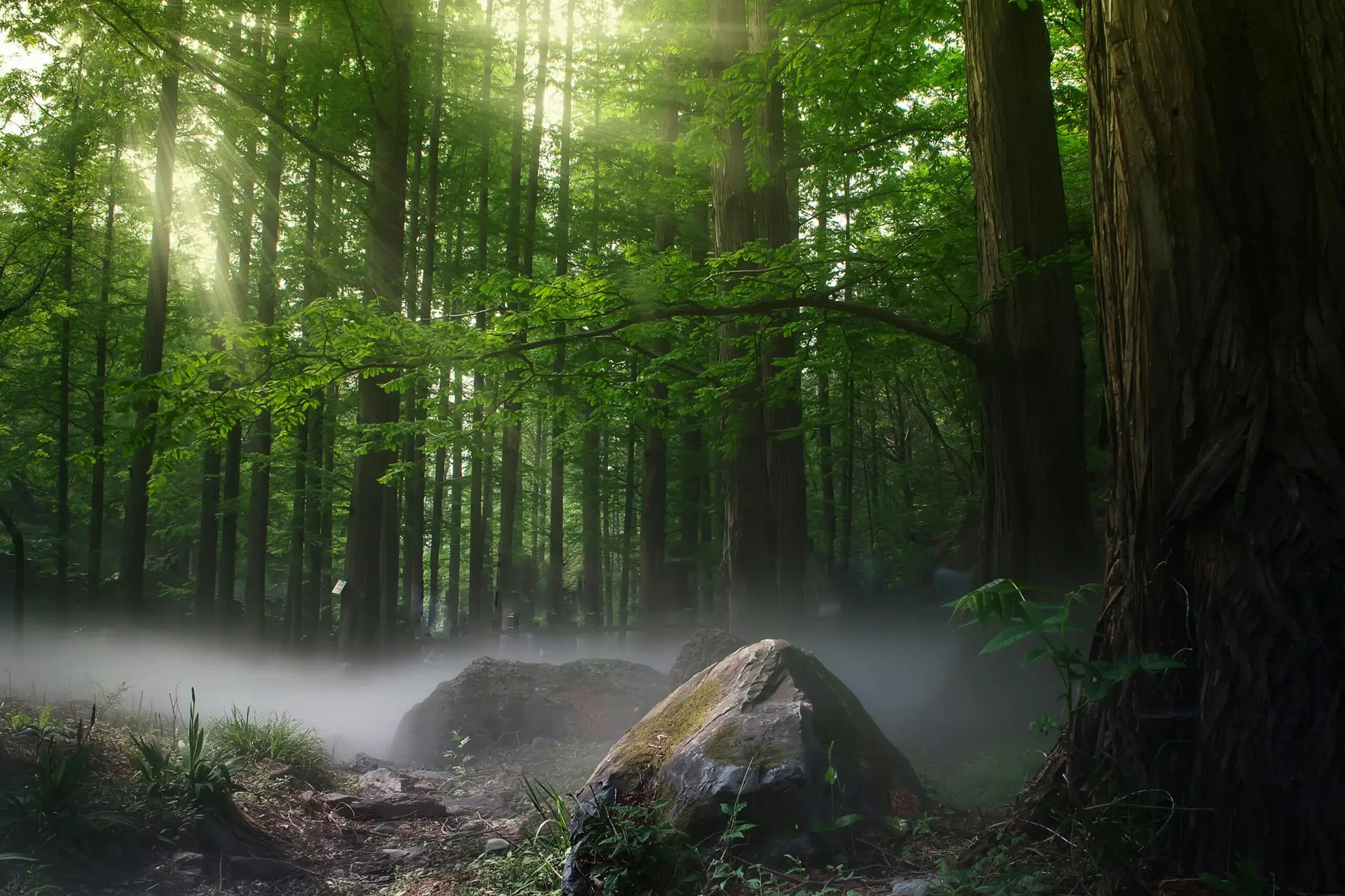 Wellnessurlaub im Schwarzwald: Entspannung in Baden-Baden
